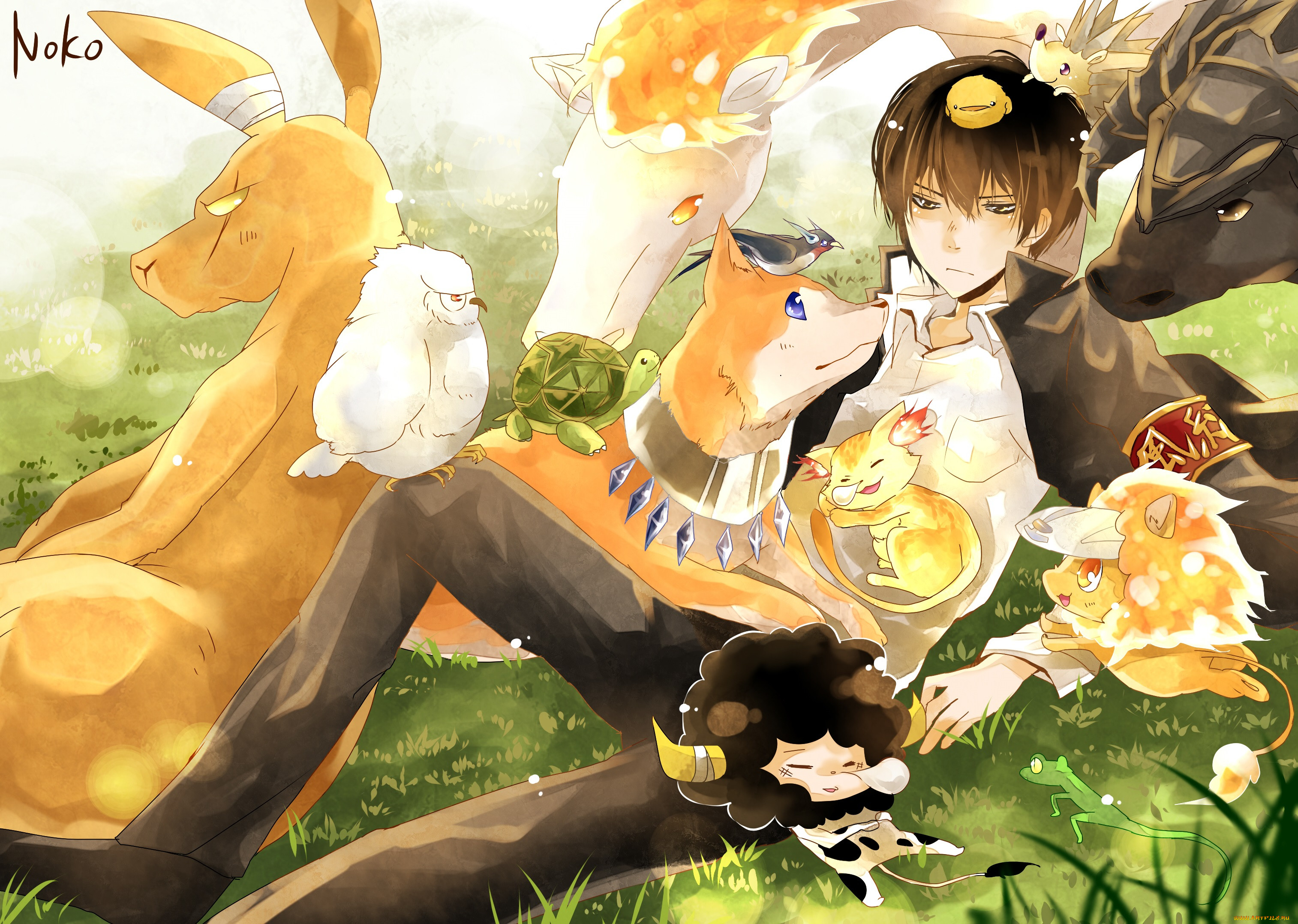 , katekyo hitman reborn, , , 